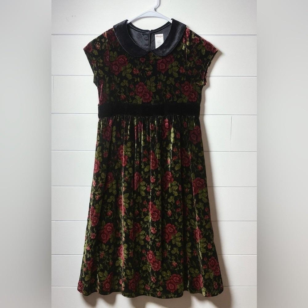 Gymboree Girls Velvet Floral Holiday‎ Valentine Dress Peter Pan Collar Size 9